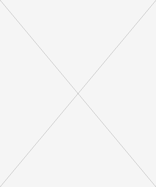 DoRachoty.cz - Tričko dámské Resist heavy